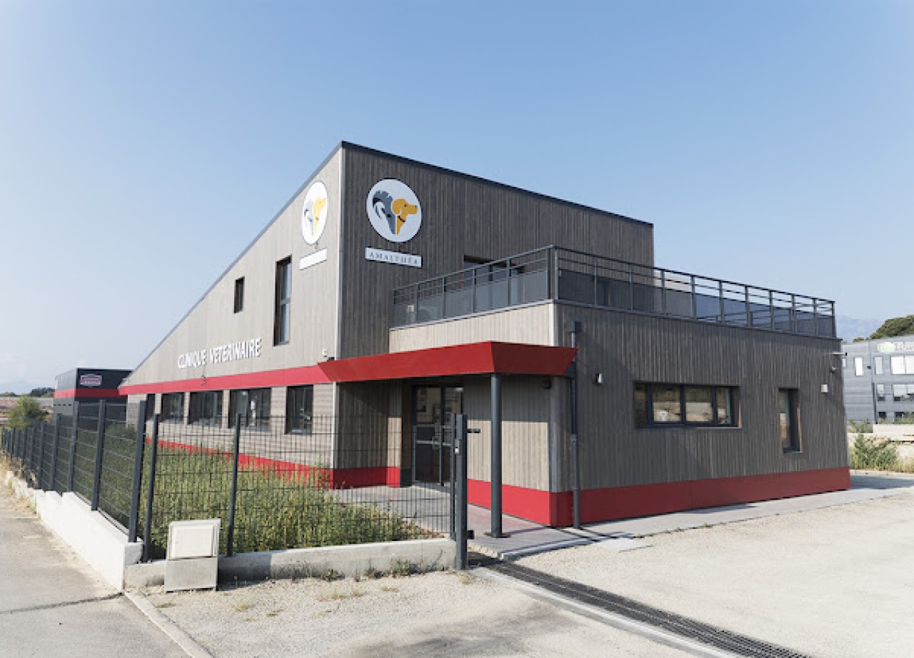 Clinique vétérinaire Amalthéa