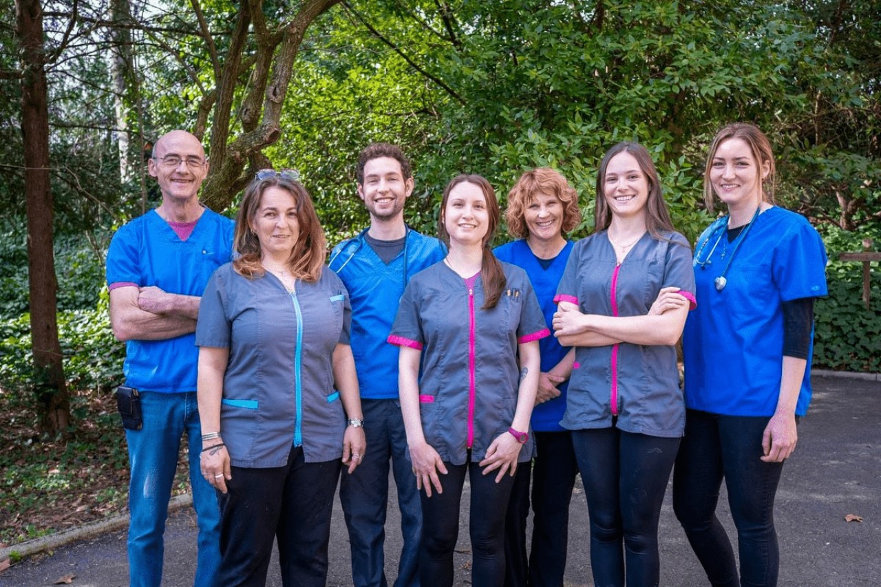 IVC EVIDENSIA France