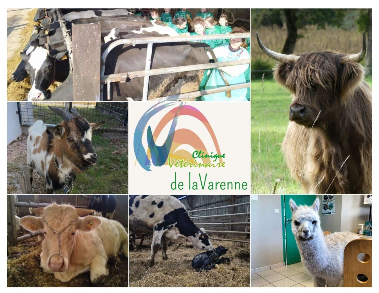 Selarl Clinique Vétérinaire De La Varenne