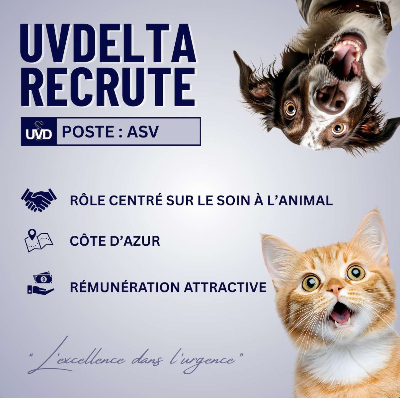 Urgences Vétérinaires Delta