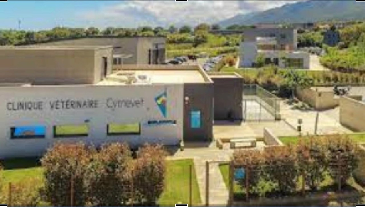 Clinique et cabinets vétérinaires Cyrnevet (indépendants)