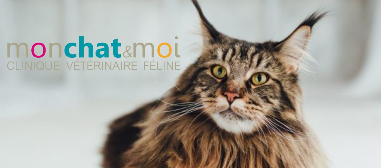 Clinique Vétérinaire Féline Mon chat & Moi
