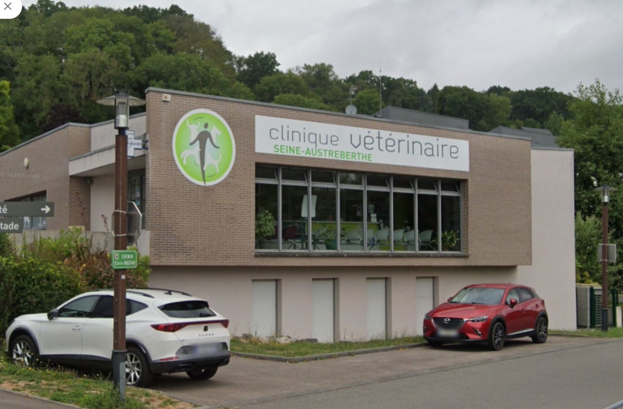 Selarl Seine Austreberthe