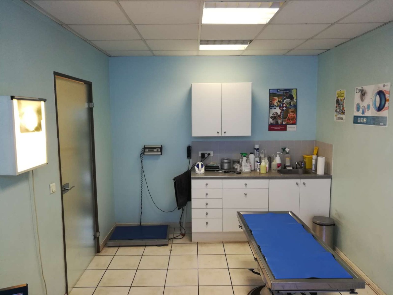 STEF LEMOND PLANQUES PROT LALU