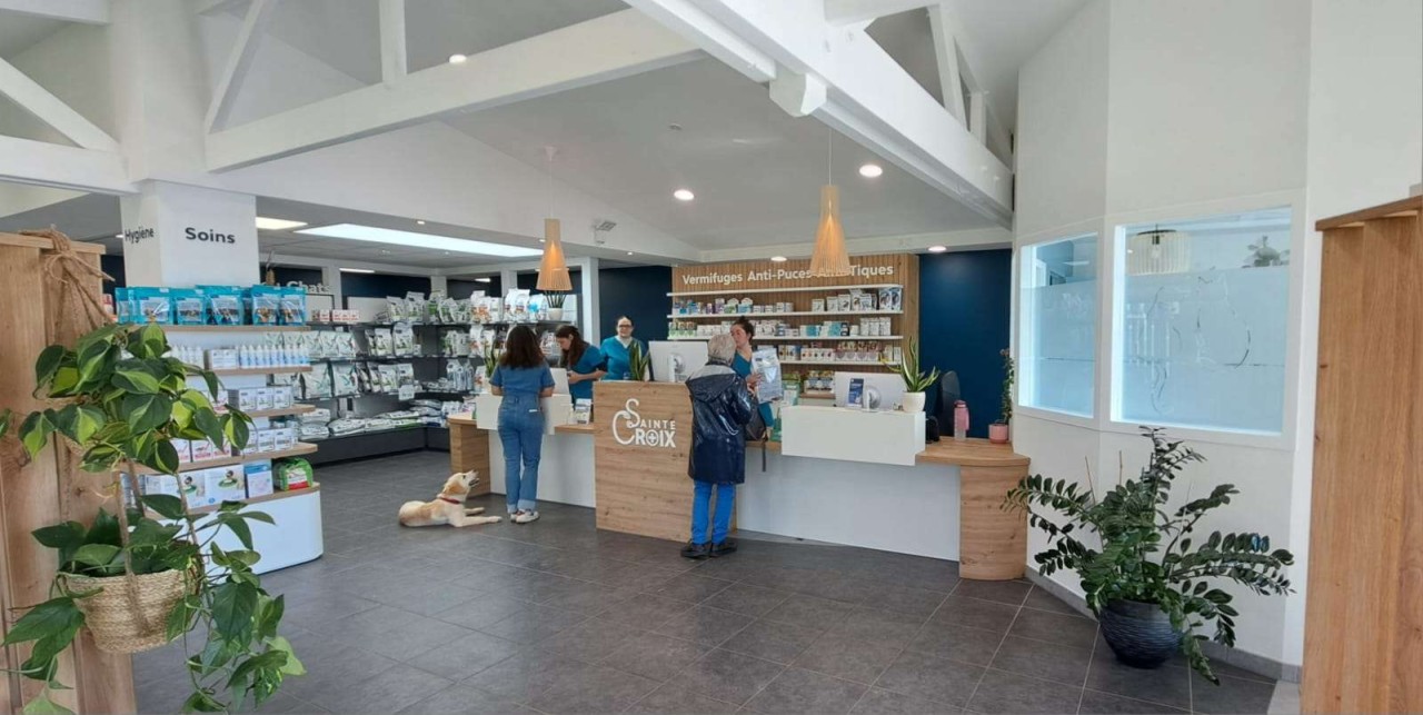 Clinique Veterinaire Sainte Croix