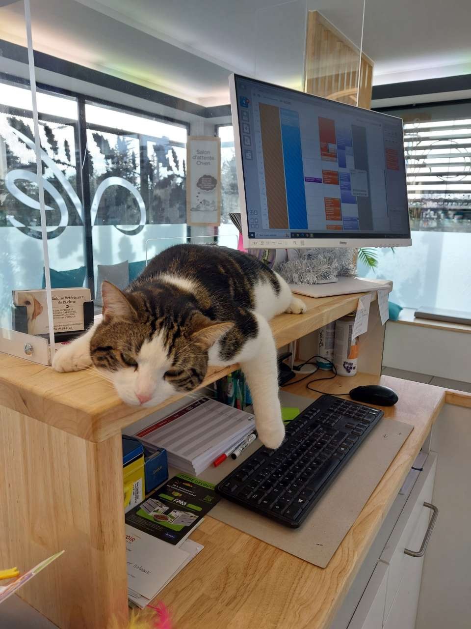 Selarl Clinique Veterinaire De L'écluse