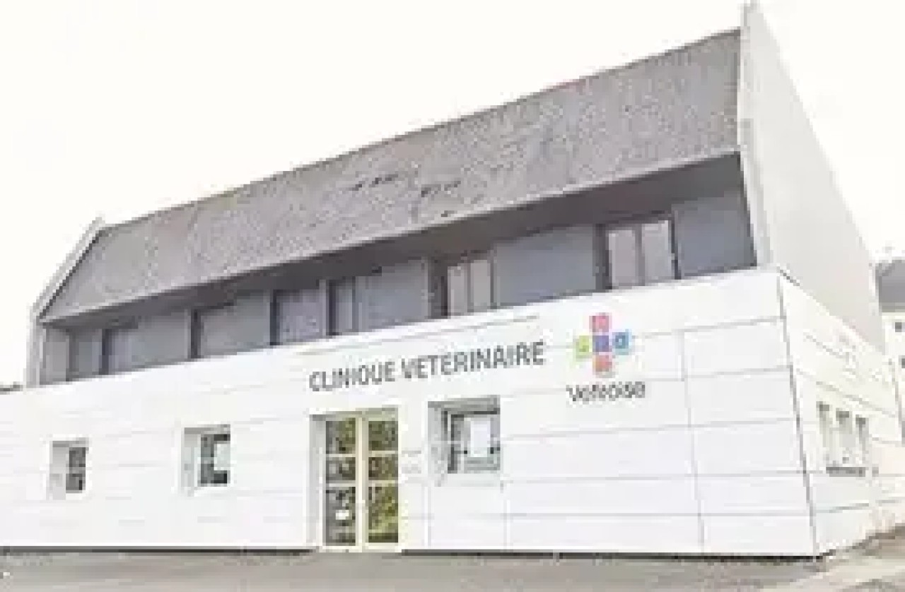 IVC EVIDENSIA France