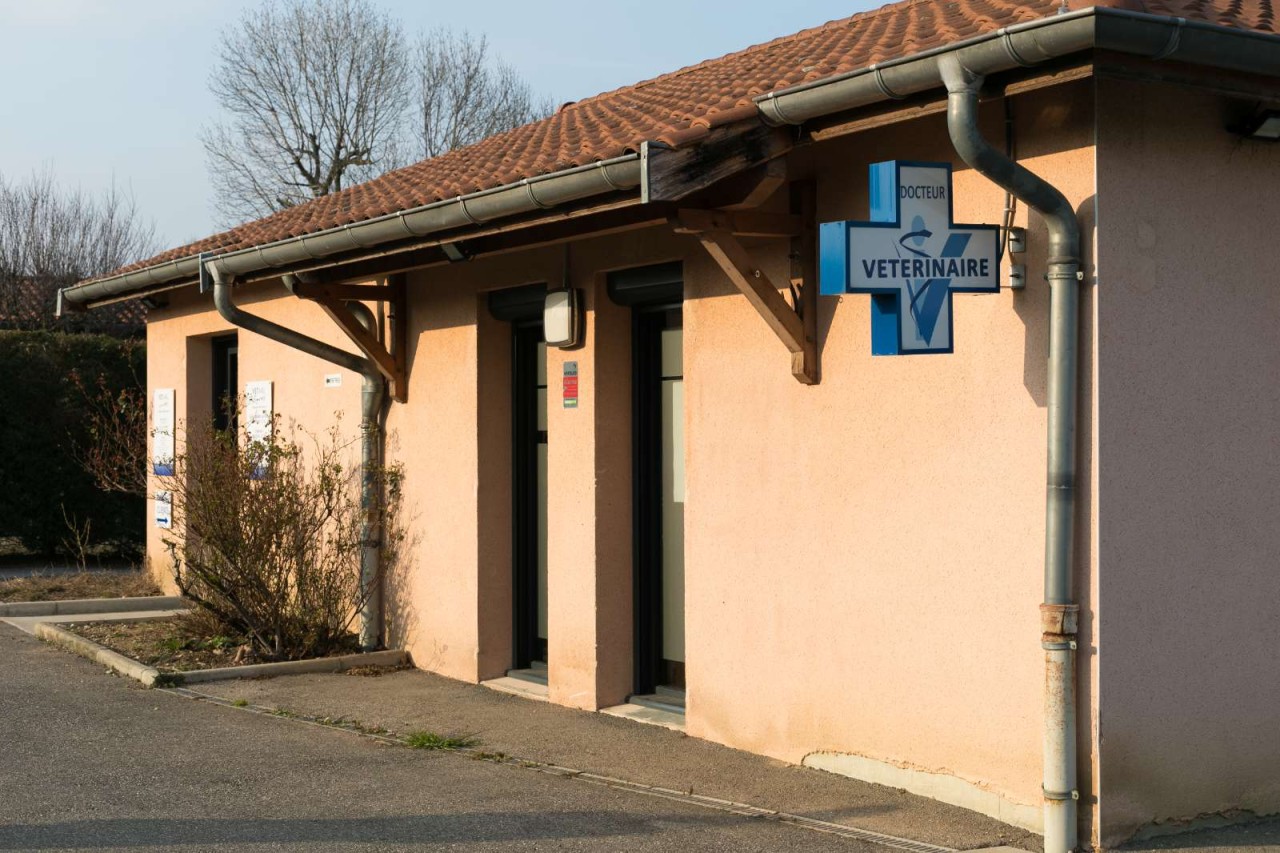 VET&AL - CV de la Croix des Roux à BRINDAS