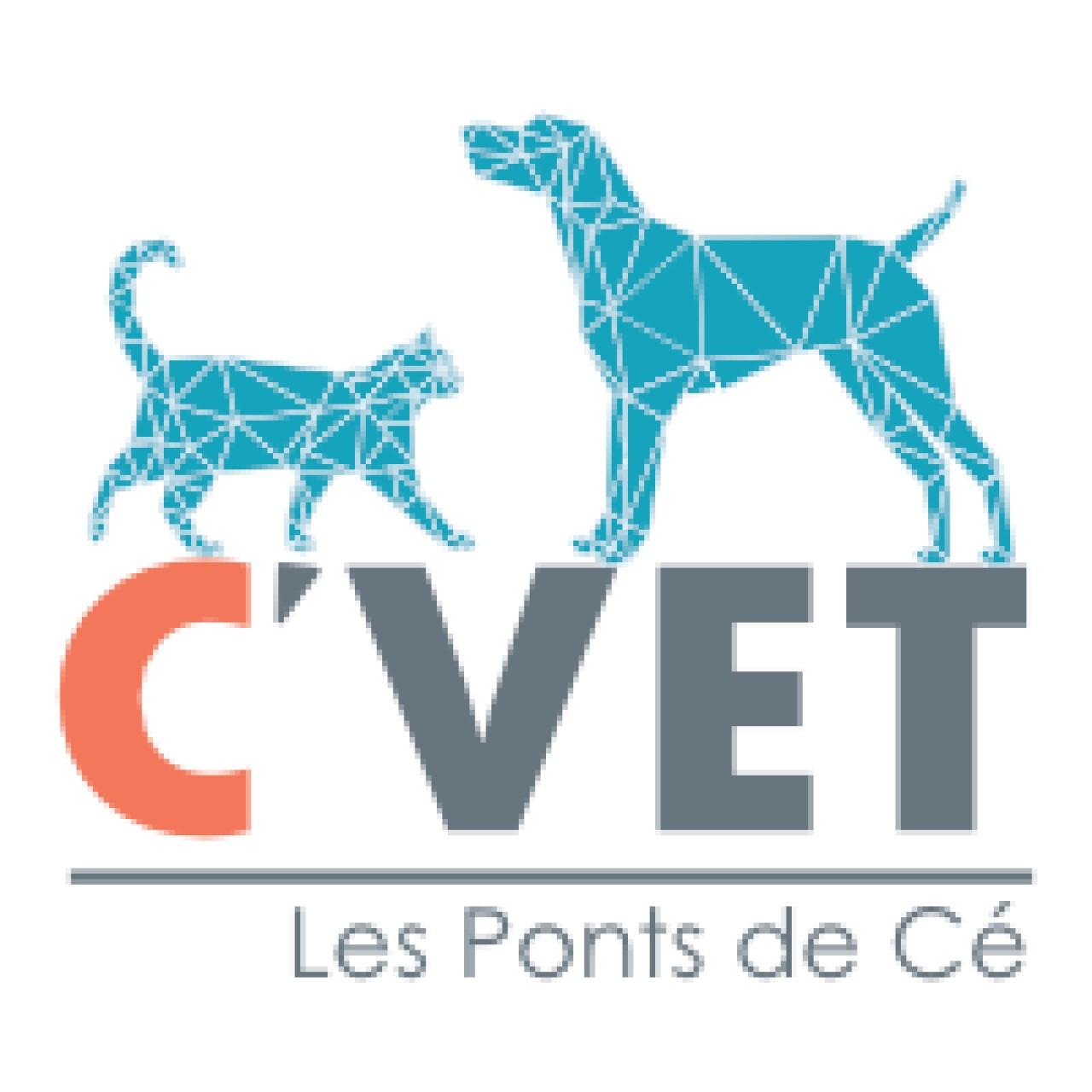 C'VET - Clinique vétérinaire des Ponts de Cé