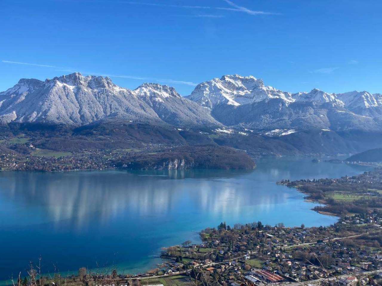 SCP vétérinaires du lac