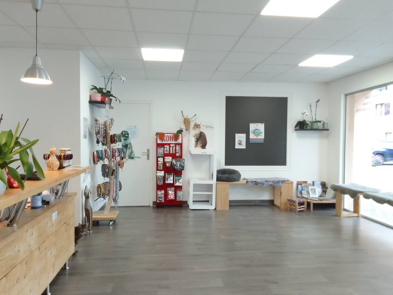 Clinique Veterinaire Du Clos