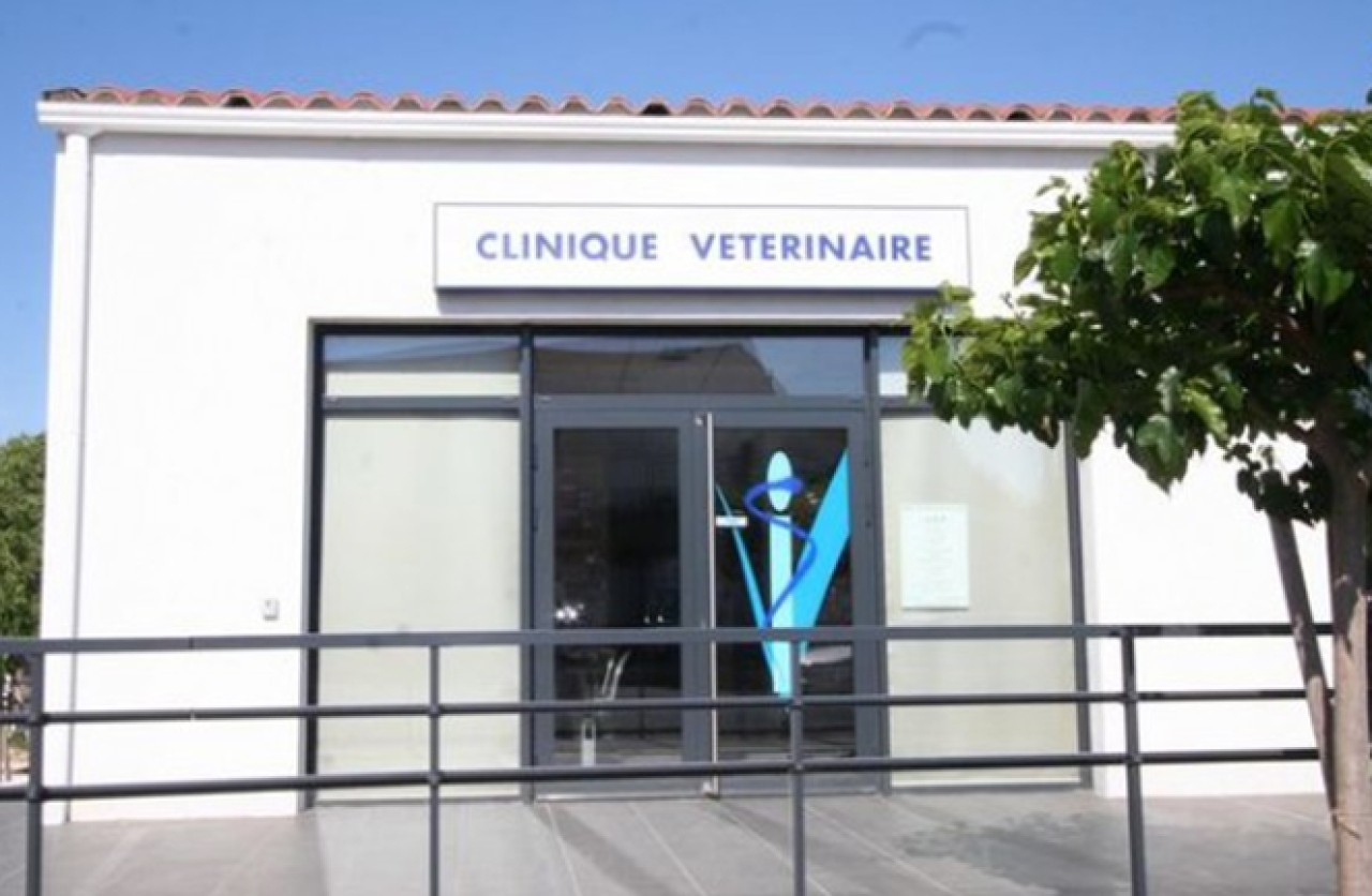 Réseau Univet