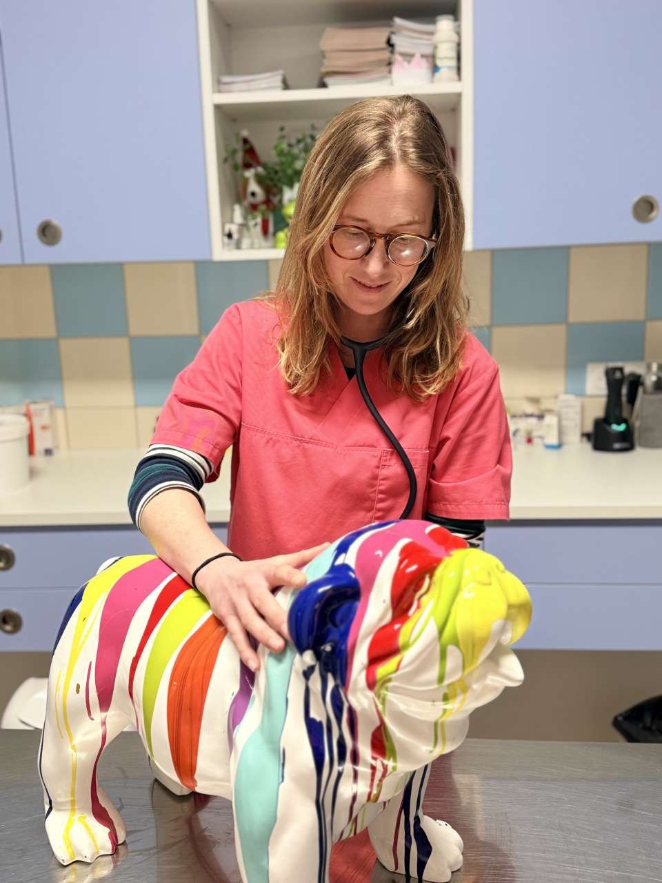 CLINIQUE VETERINAIRE HENRI IV