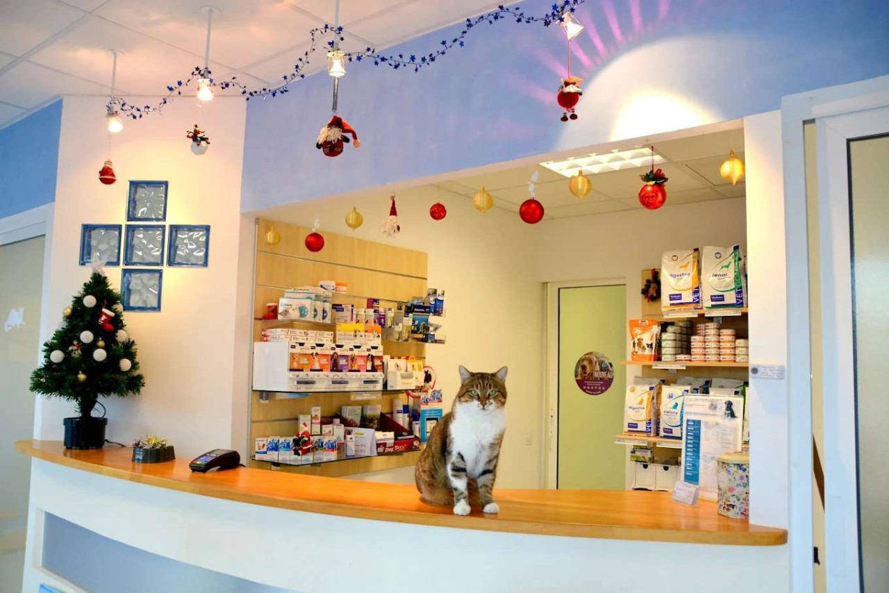 Cabinets Vétérinaires Médico-Chirurgicaux de La Moutonne & du Mont des Oiseaux