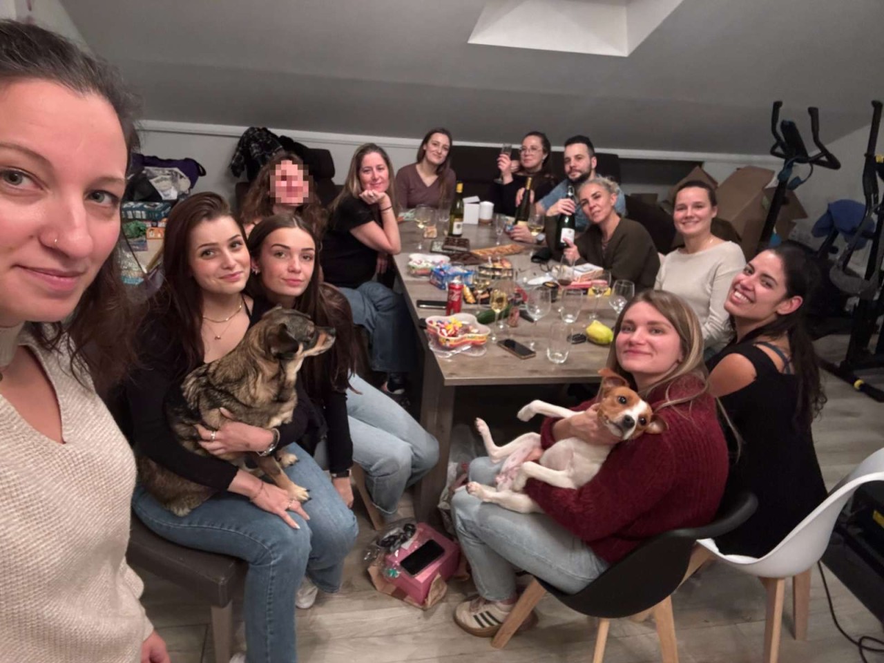 Anatim Vet' (Clinique Indépendante)