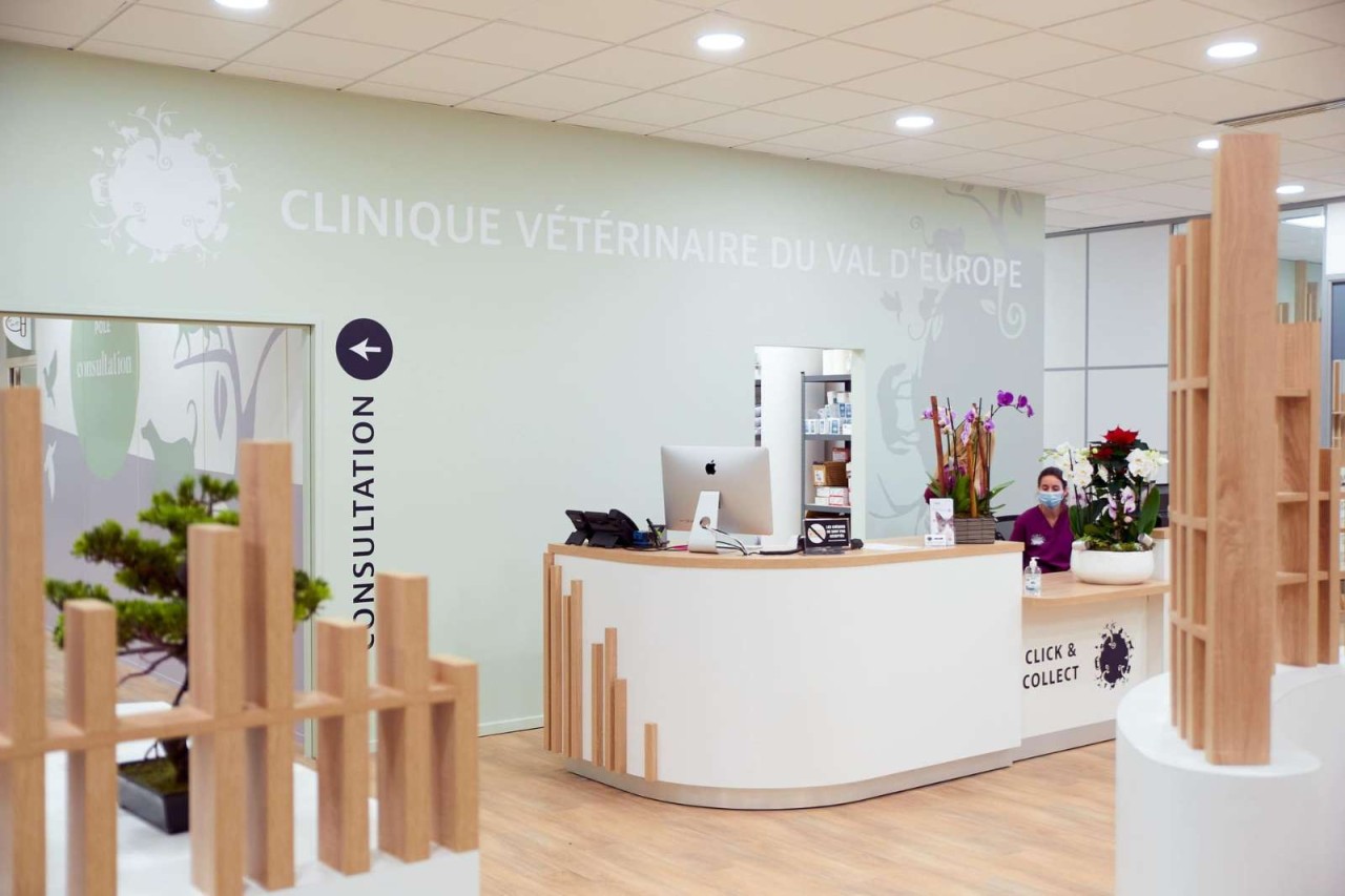 IVC EVIDENSIA France