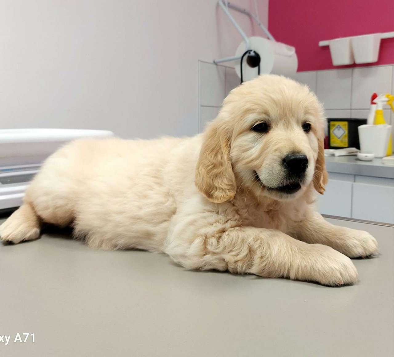 SCP ARZUL et MORICEAU