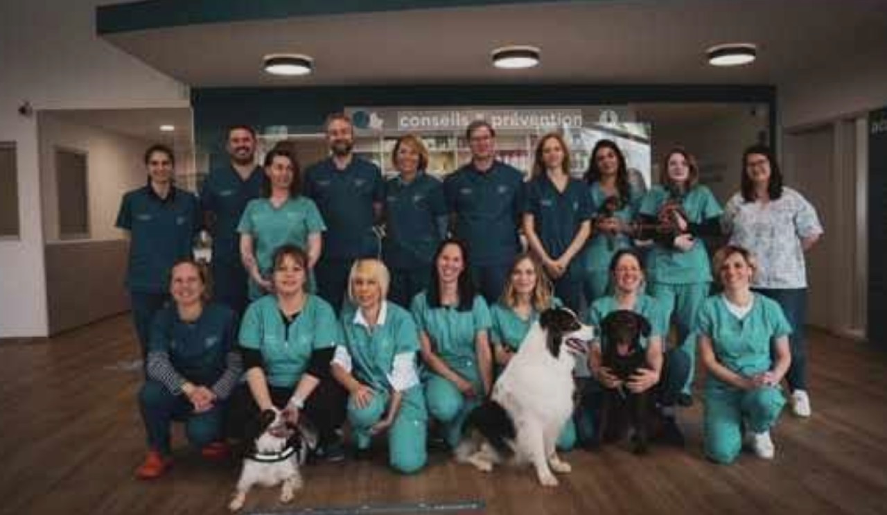 IVC EVIDENSIA France