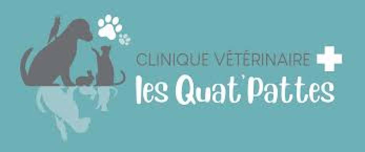 IVC EVIDENSIA France