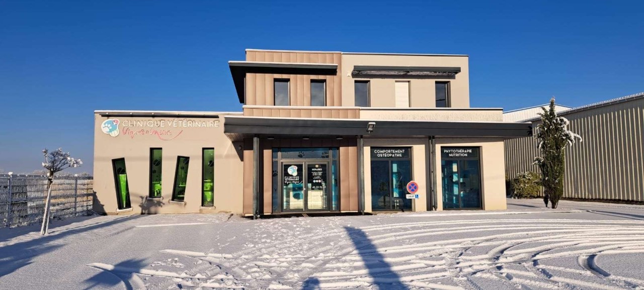 Clinique Vétérinaire Vignes Et Moine