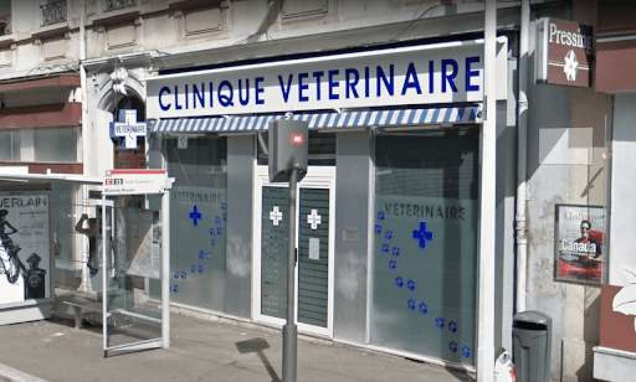 CABINET VETERINAIRE DES MAISONS NEUVES