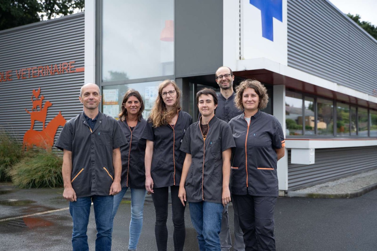 Clinique Vétérinaire De Bourbriac