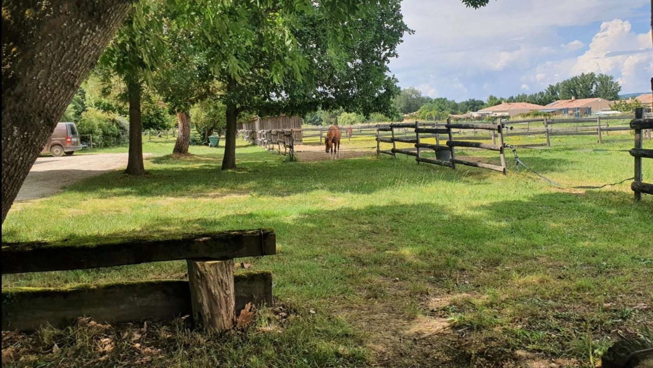 Clinique Équine de Baulac