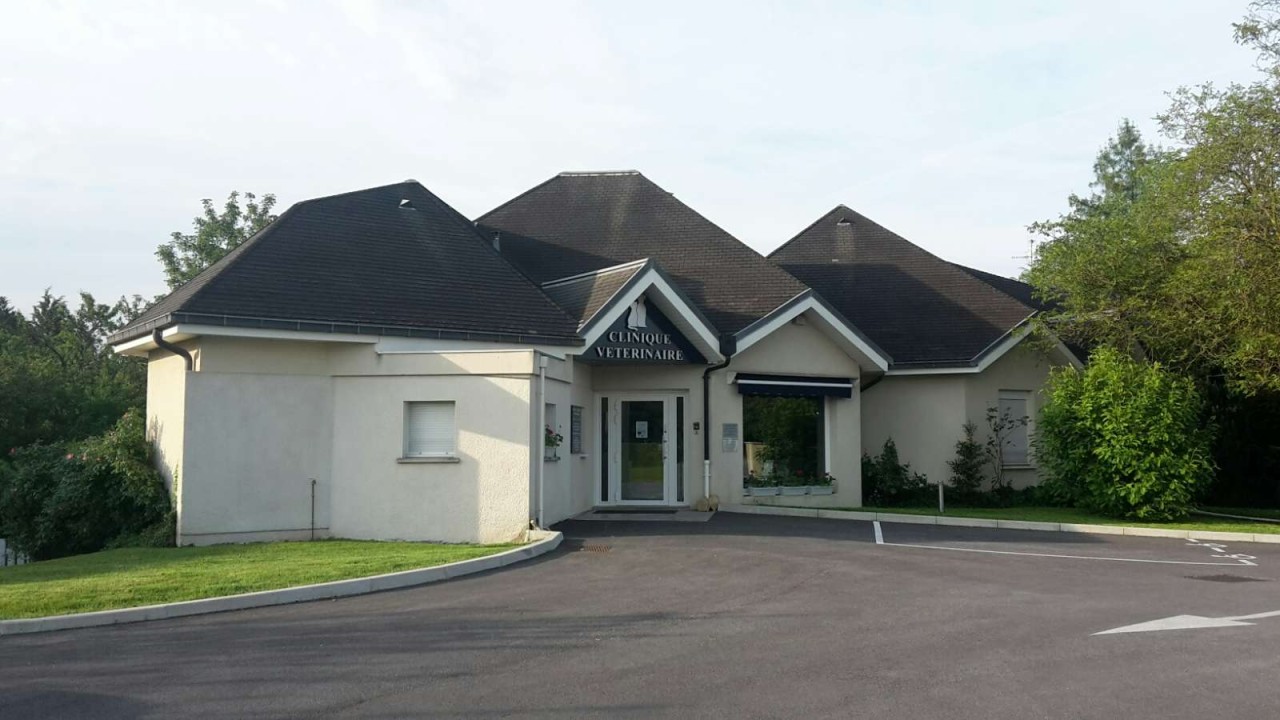 selarl Buttoud Xillo