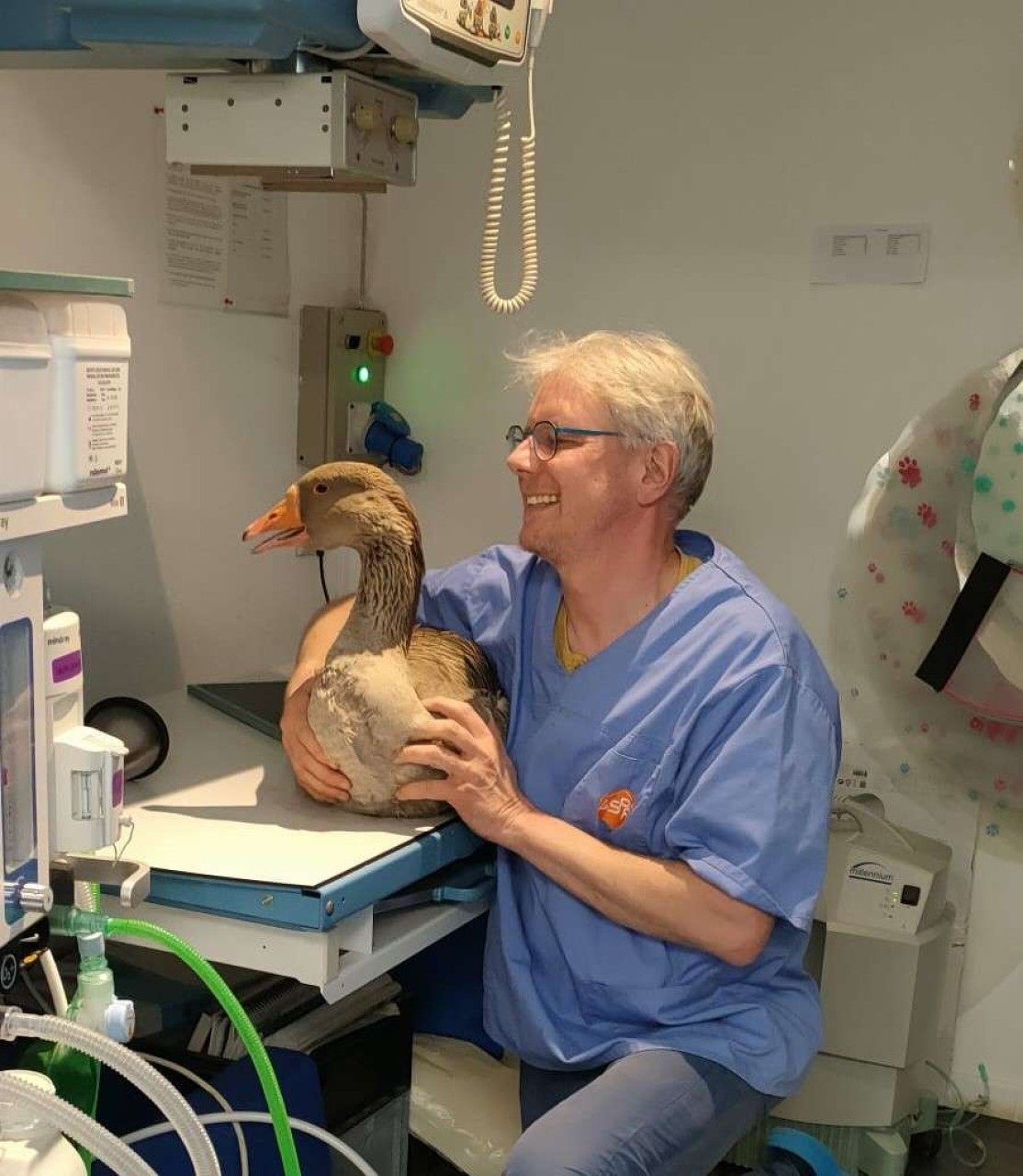 Scp Vétérinaire Miche Selva