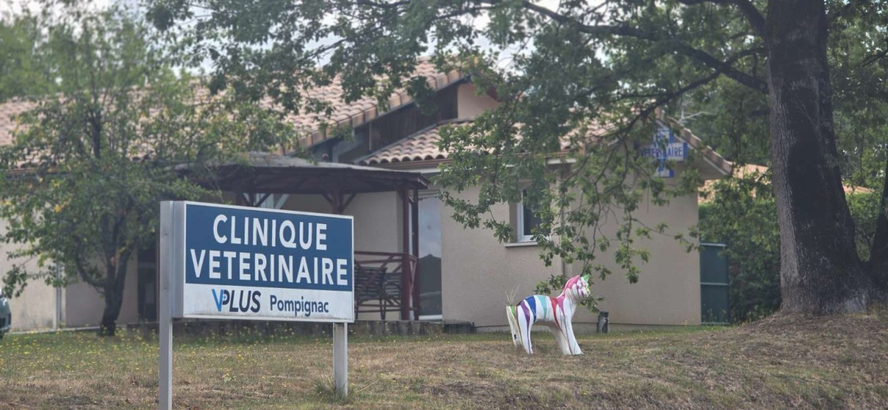 Selarl Vplus Pompignac