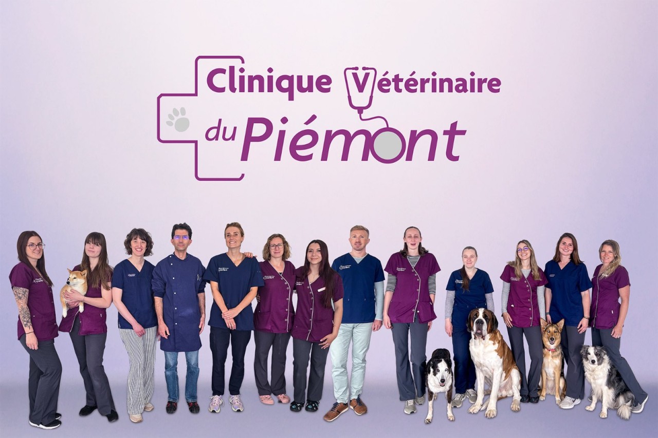 Clinique Vétérinaire Du Piémont