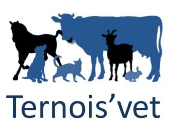  Selarl Ternois'vet 