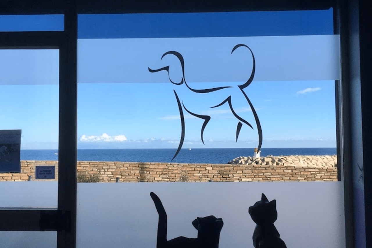 IVC EVIDENSIA France