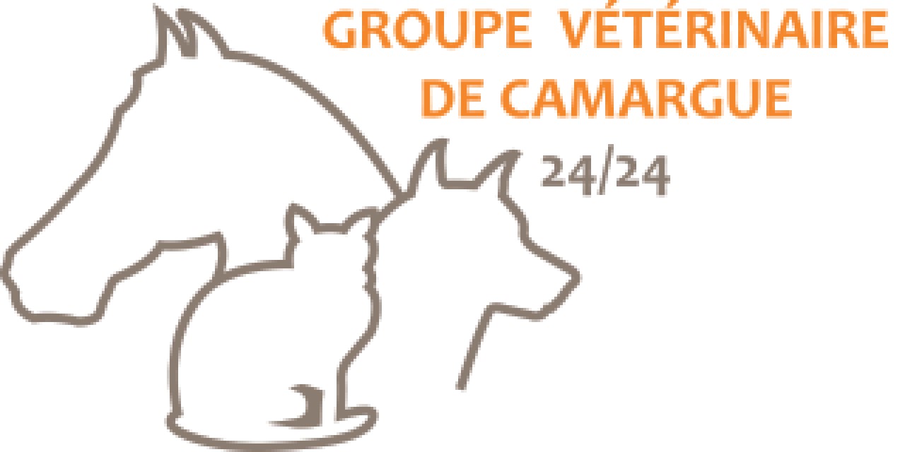 Groupe Vétérinaire De Camargue