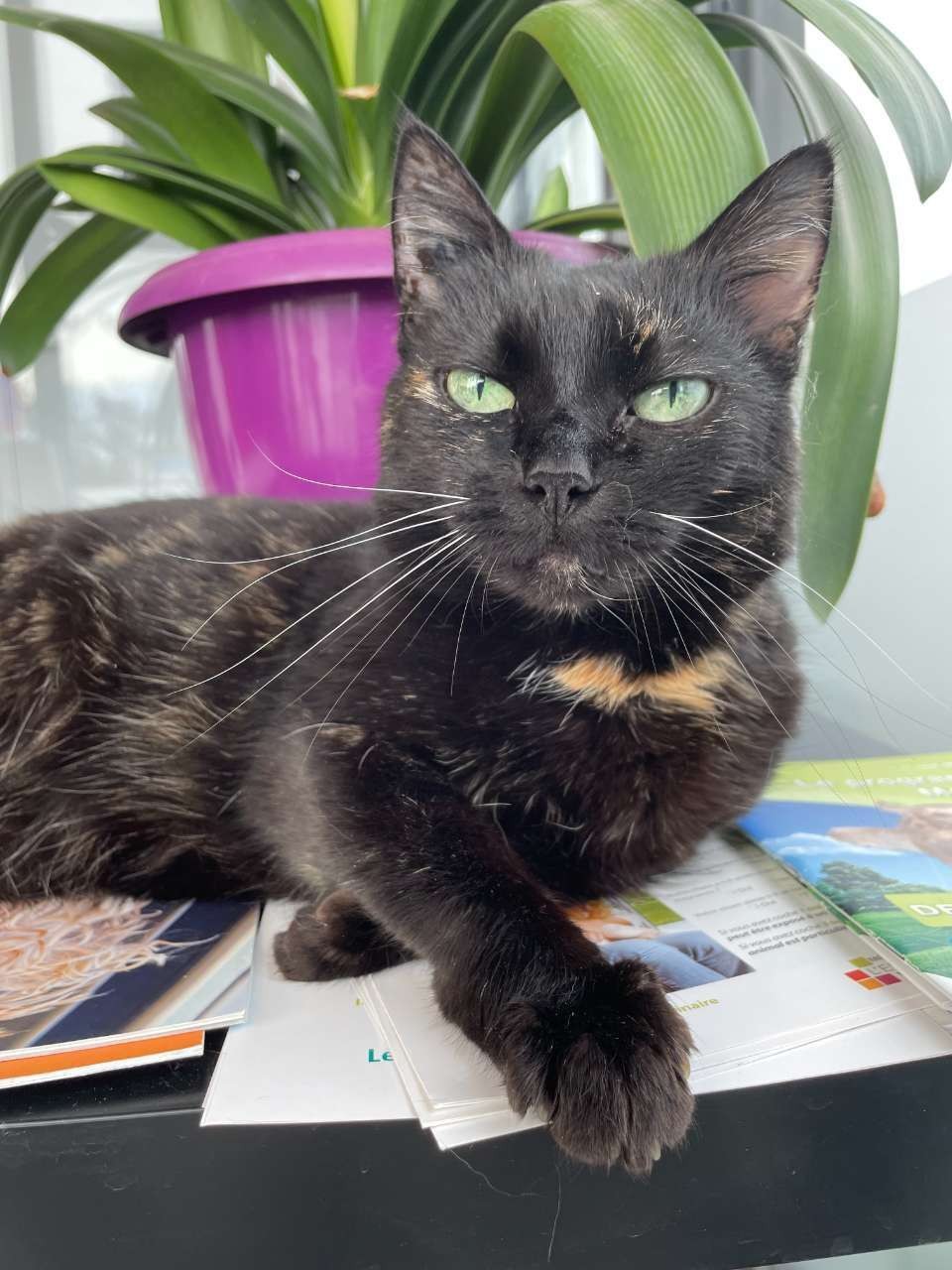 Selarl Dr Philippe Et Associés