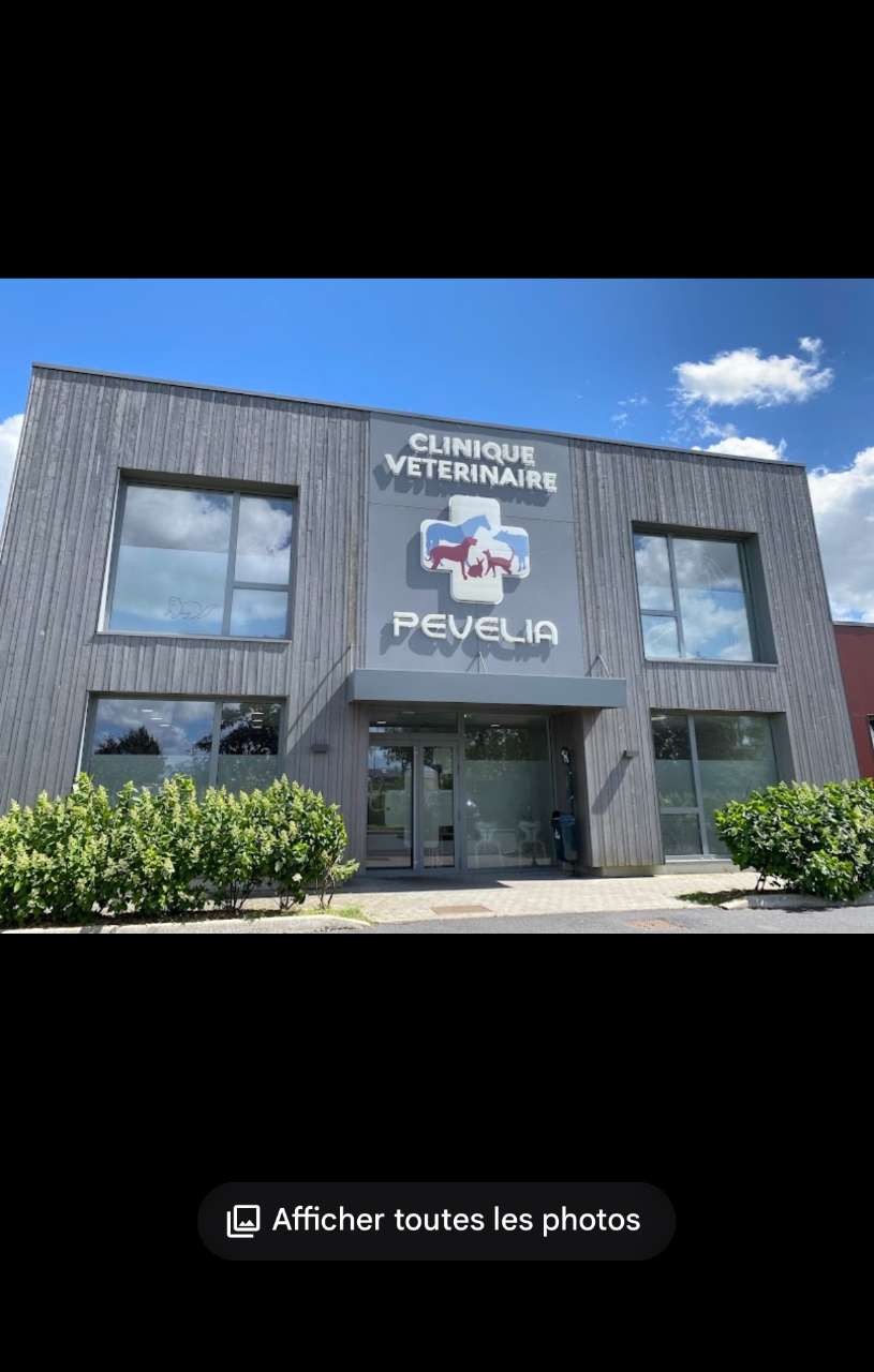 Clinique Vétérinaire Pévélia