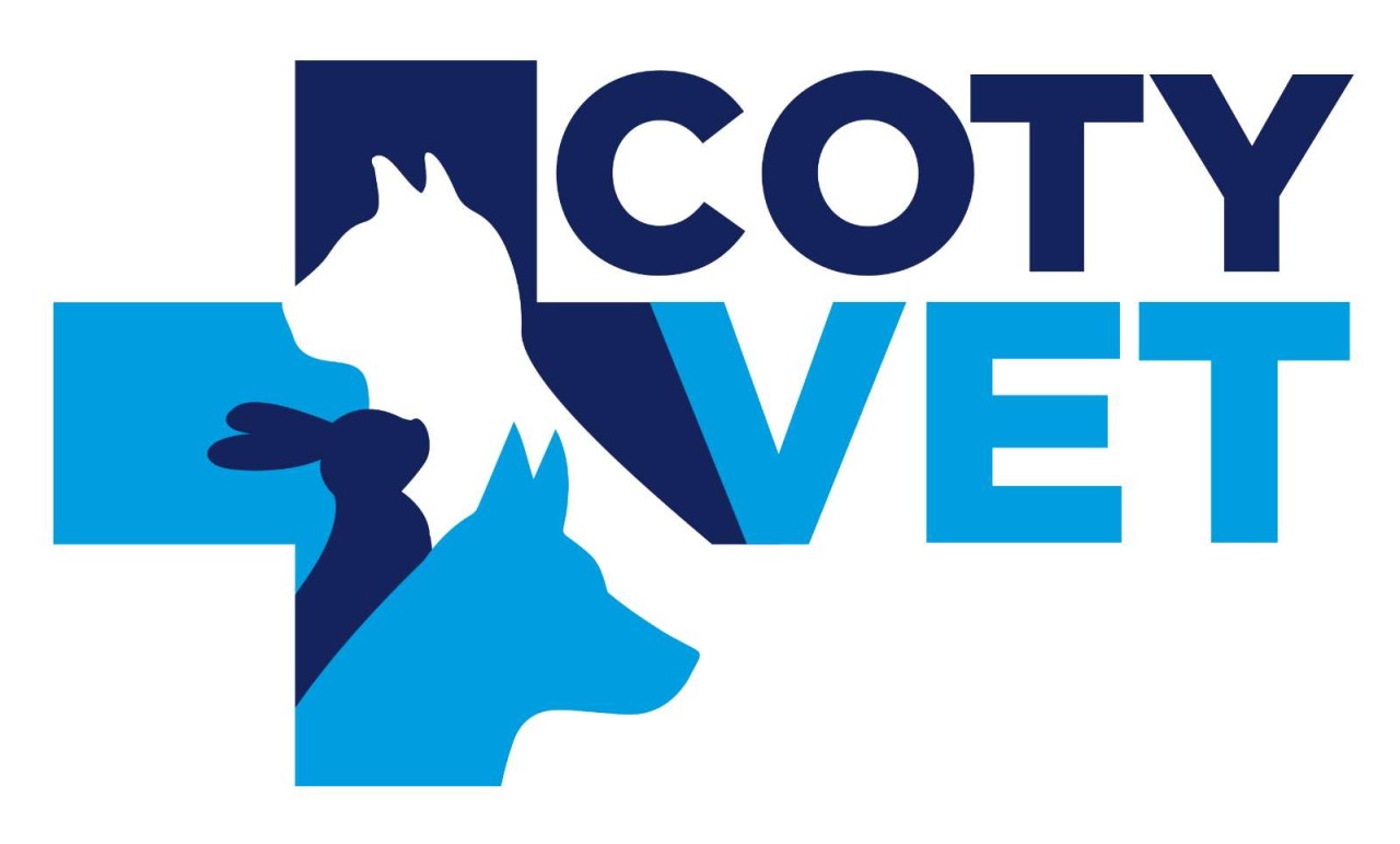 Clinique Veterinaire Des Ormeaux