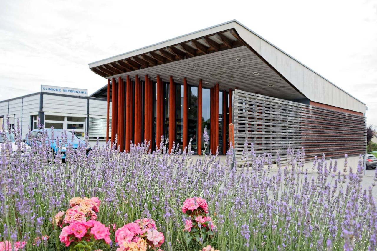 IVC EVIDENSIA France