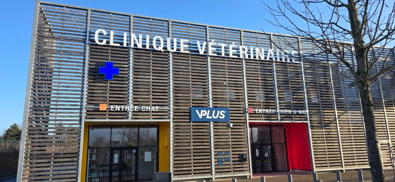 VPLUS Cergy