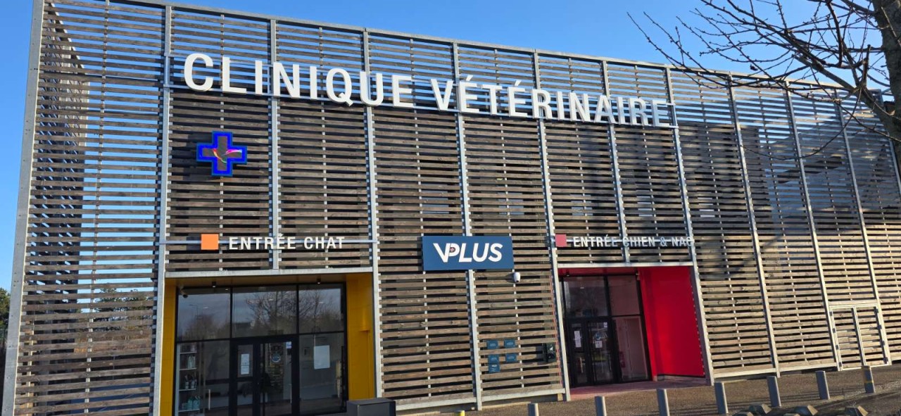 VPLUS Cergy