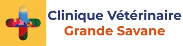 Clinique Veterinaire Grande Savane