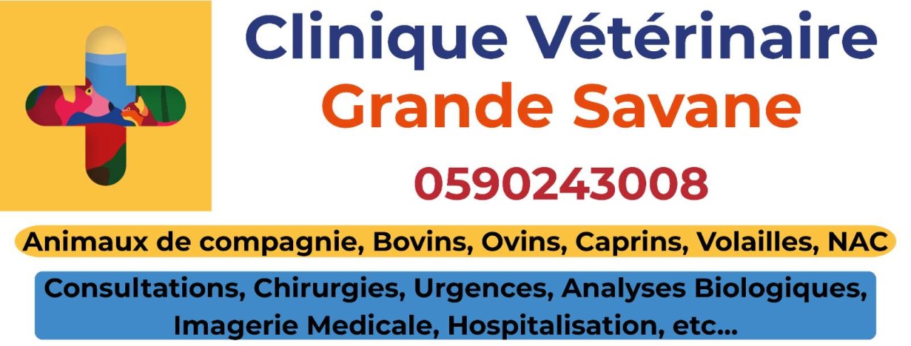 Clinique Veterinaire Grande Savane