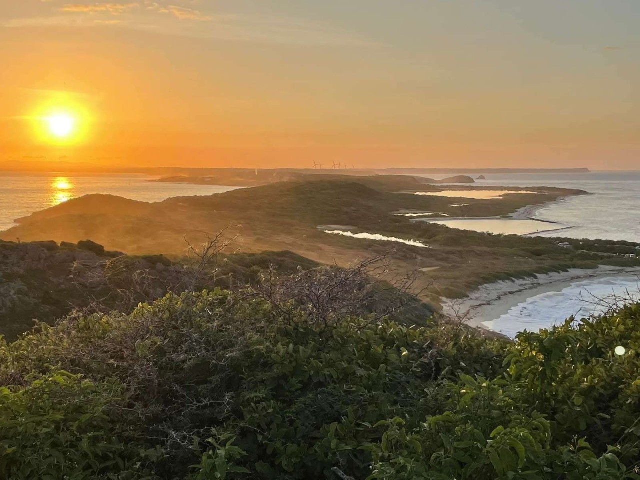Clinique Veterinaire Grande Savane