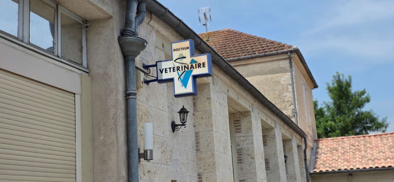 SARL VPLUS VETO LAROQUE