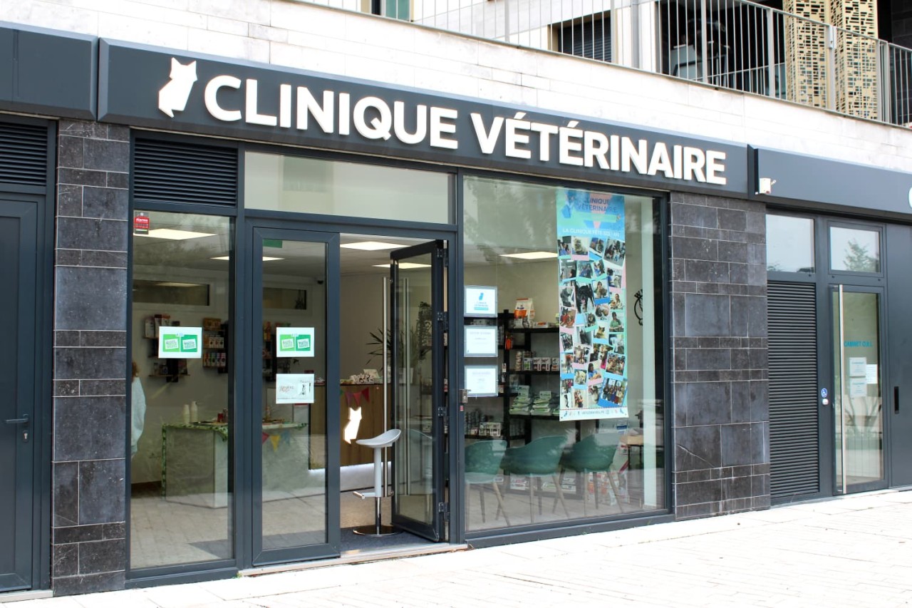 Clinique vétérinaire du Carré Saint-Rémy