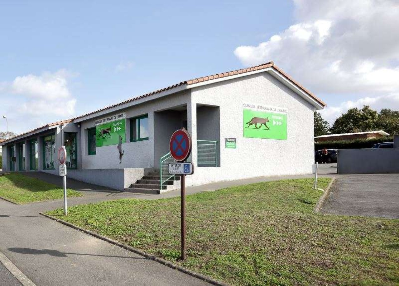 CLINIQUE VETERINAIRE DE L'AMIRAL - SELARL VETILITY