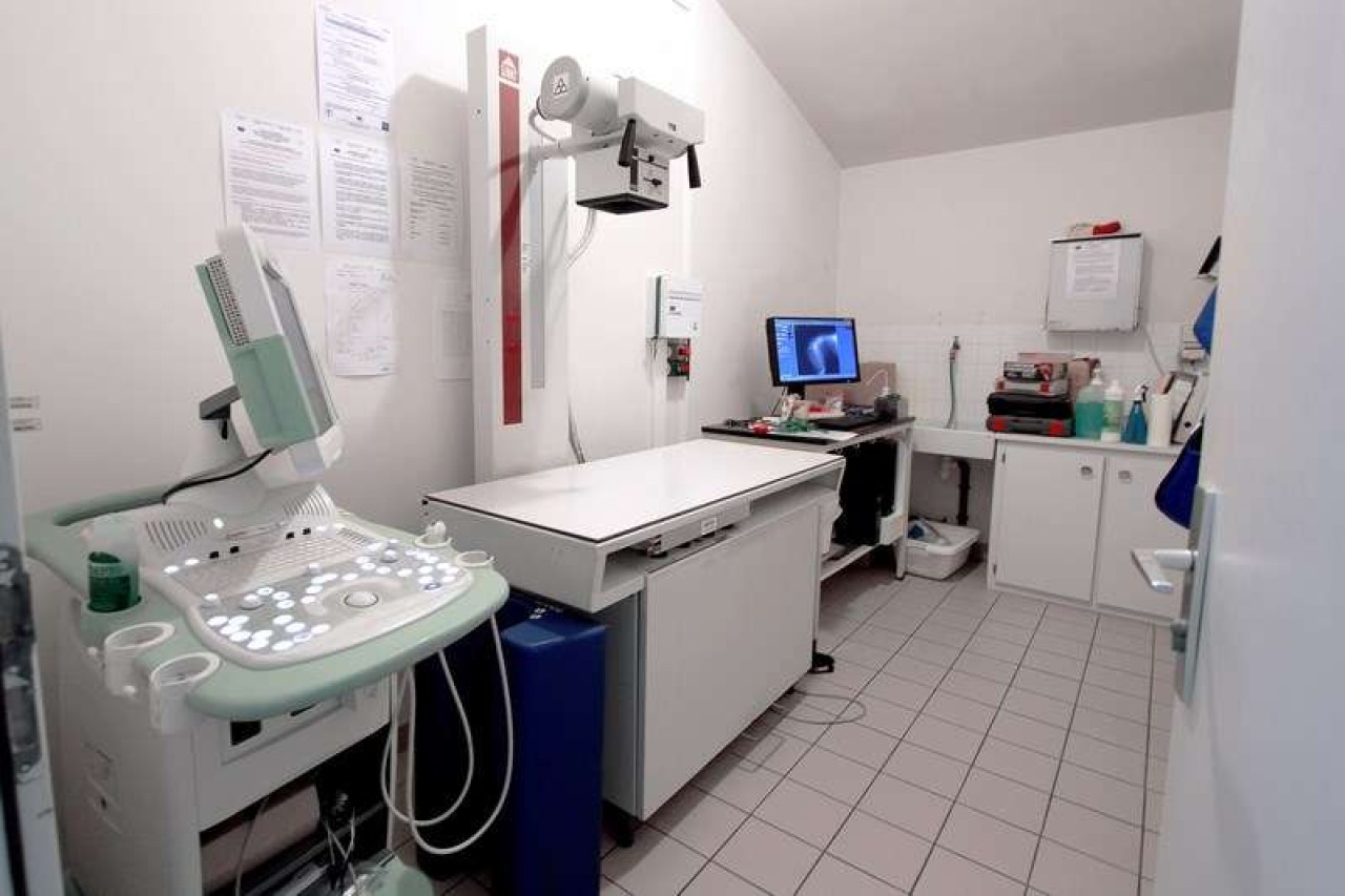 CLINIQUE VETERINAIRE DE L'AMIRAL - SELARL VETILITY