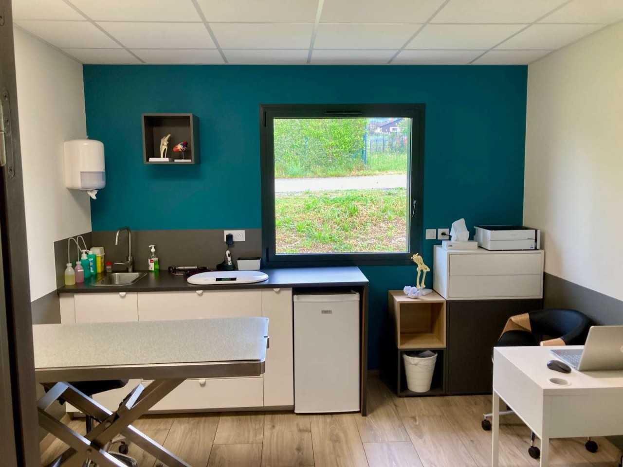 Selarl Veterinaire De La Treille