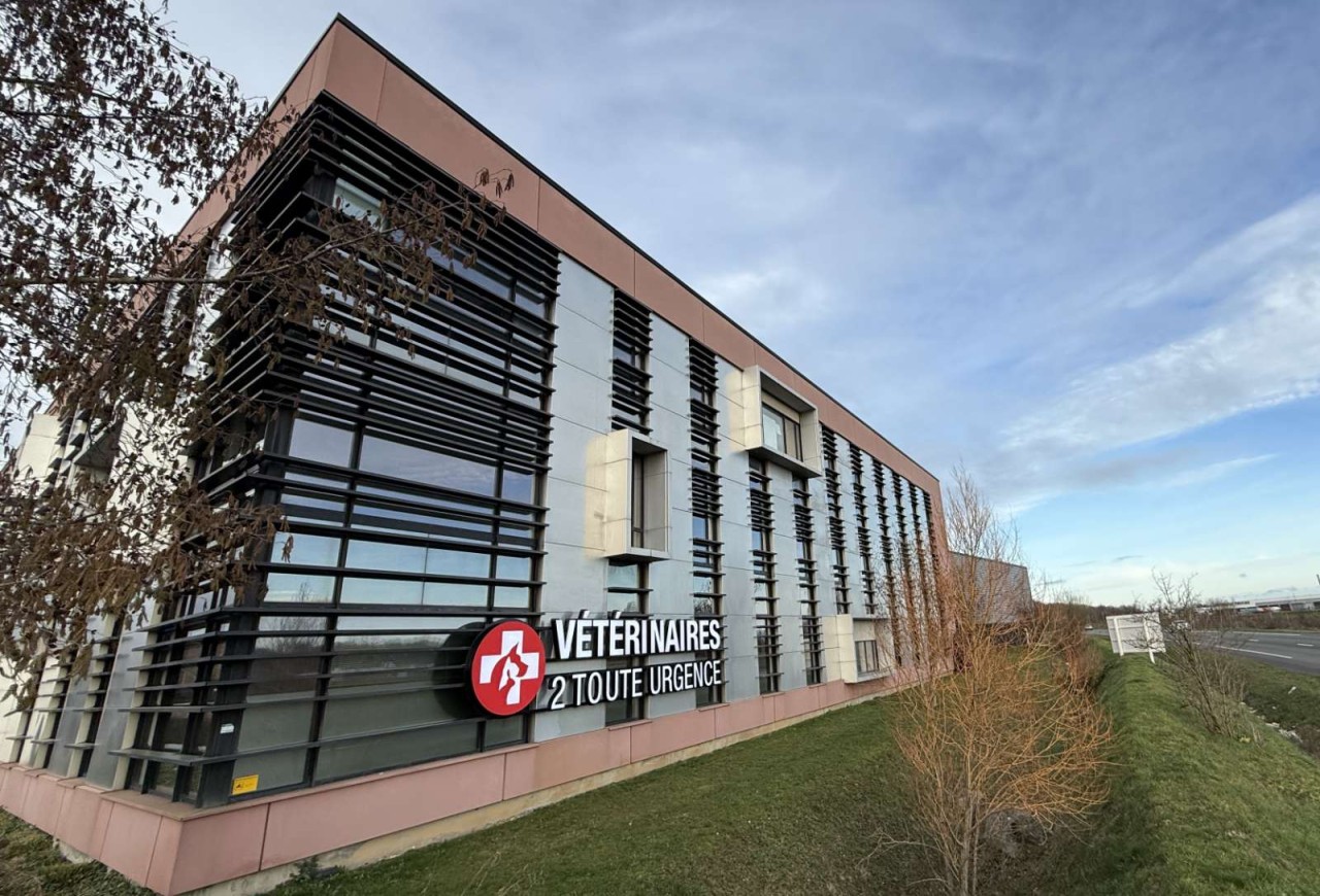 Vétérinaires 2 Toute Urgence