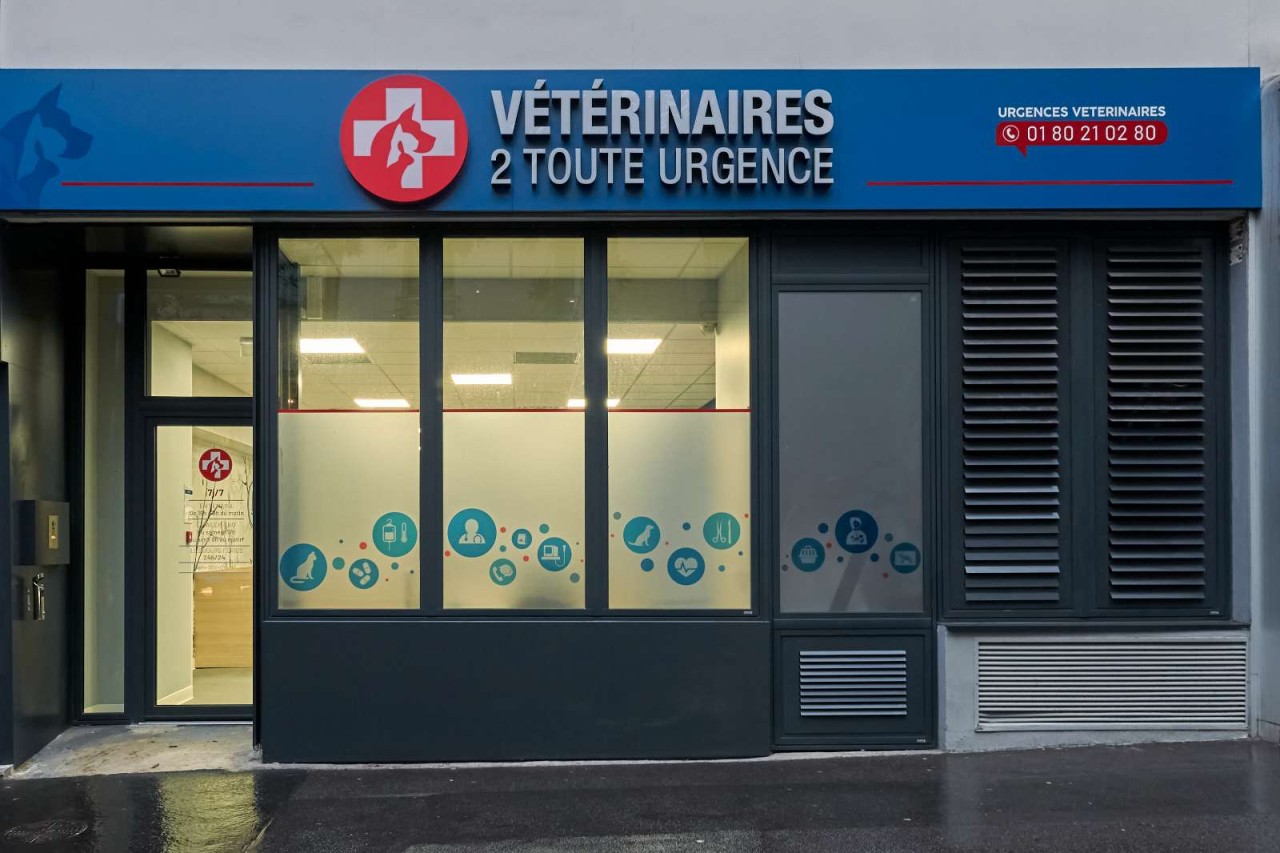 Vétérinaires 2 Toute Urgence